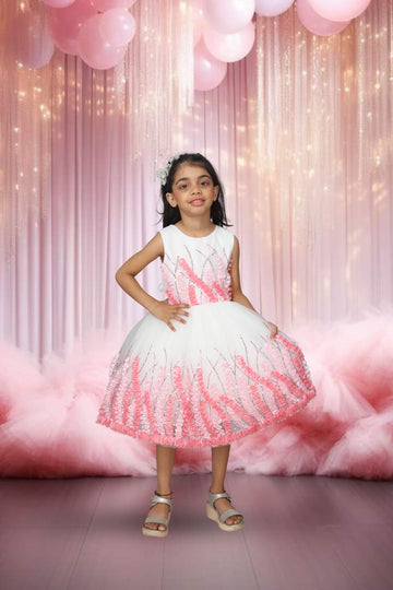Tissue & Net Dress with Elegant Ribbon Work